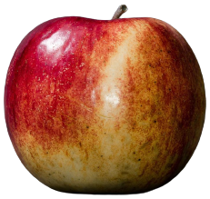 maçã normal